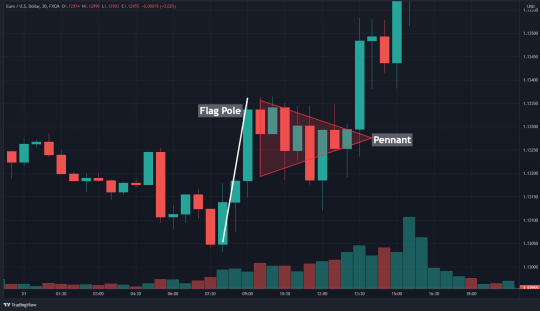 How To Trade The Bear Pennant Pattern [Video Included]